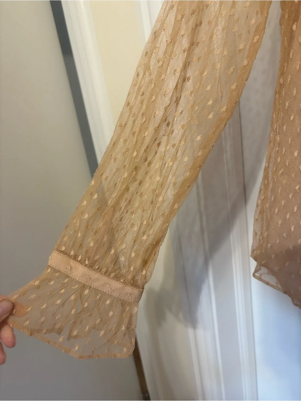 J. Crew Sheer Ruffle Tie-Neck Blouse - Tan
